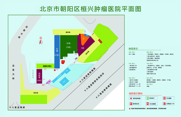 深夜操逼网址北京市朝阳区桓兴肿瘤医院平面图